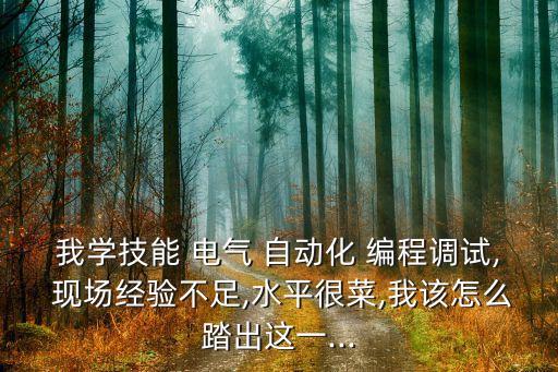我學(xué)技能 電氣 自動化 編程調(diào)試, 現(xiàn)場經(jīng)驗不足,水平很菜,我該怎么踏出這一...