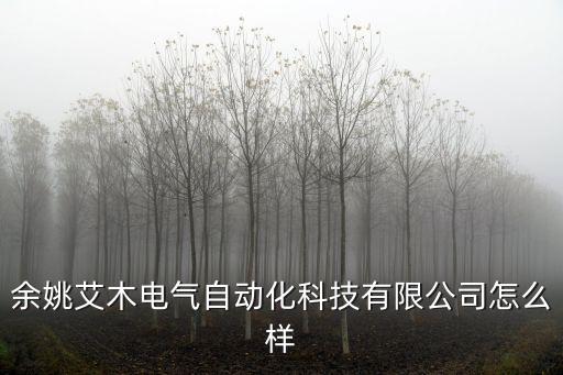 余姚艾木電氣自動化科技有限公司怎么樣