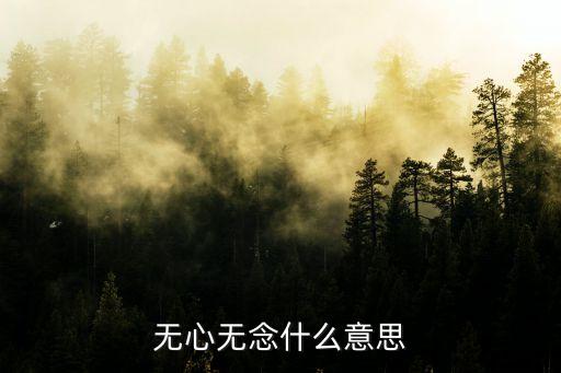 廣加無念什么,無意無念有何含義?