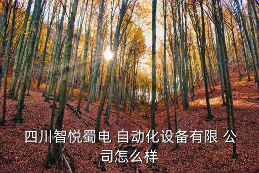  四川智悅蜀電 自動化設(shè)備有限 公司怎么樣