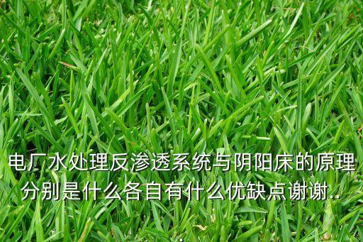 電廠水處理反滲透系統(tǒng)與陰陽床的原理分別是什么各自有什么優(yōu)缺點(diǎn)謝謝...