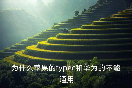typec接口數(shù)據(jù)線通用么,蘋果和安卓typec接口數(shù)據(jù)線可以通用嗎?