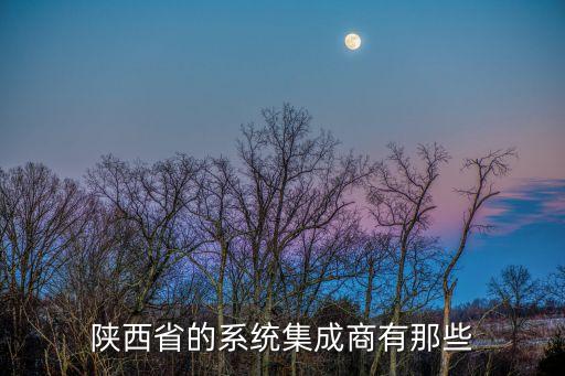 陜西省的系統(tǒng)集成商有那些