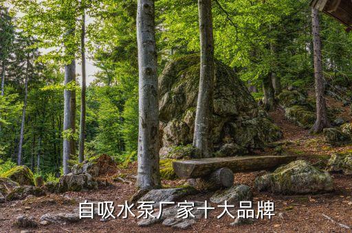自吸水泵廠家十大品牌