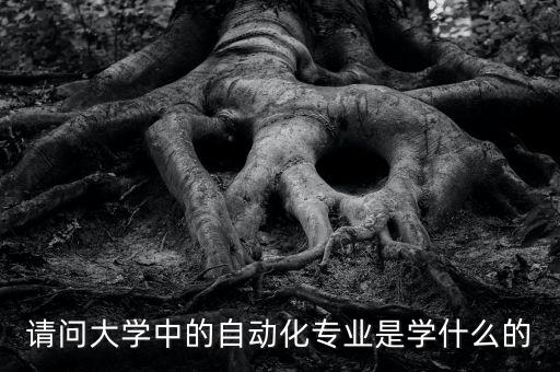 請問大學(xué)中的自動化專業(yè)是學(xué)什么的