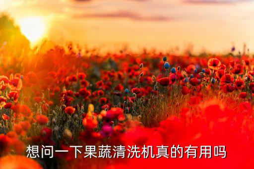 想問(wèn)一下果蔬清洗機(jī)真的有用嗎