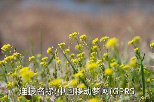 數(shù)據(jù)承載方式,諾基亞946數(shù)據(jù)承載方式怎么改?