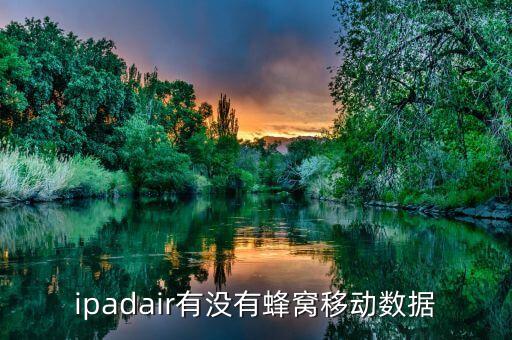 pad蜂窩數(shù)據(jù)在哪里,怎么查?看這里!這些東西!