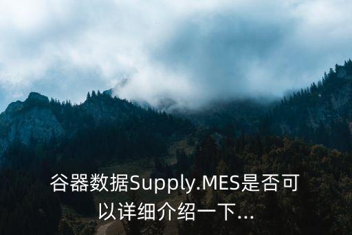 谷器數(shù)據(jù)Supply.MES是否可以詳細(xì)介紹一下...