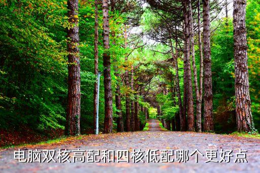 數(shù)據(jù)分析應(yīng)該用雙核還是四核,電腦雙核和四核比較優(yōu)勢在哪?