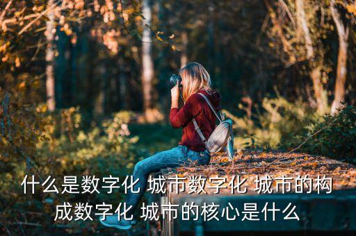 什么是數(shù)字化 城市數(shù)字化 城市的構(gòu)成數(shù)字化 城市的核心是什么