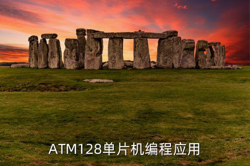 ATM128單片機編程應(yīng)用