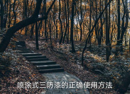 自動(dòng)化設(shè)備怎么防銹化漆,什么是防銹漆?