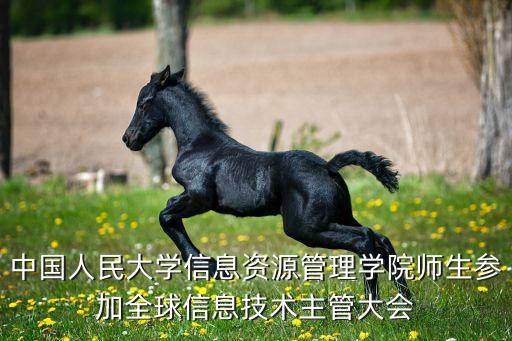 中國人民大學(xué)信息資源管理學(xué)院師生參加全球信息技術(shù)主管大會