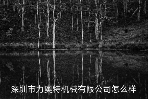 深圳市力奧特機械有限公司怎么樣