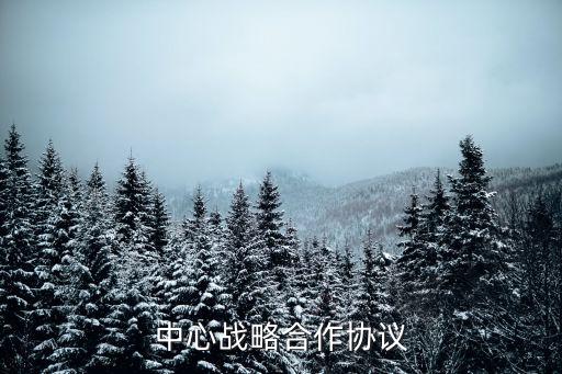 數(shù)據(jù)中心戰(zhàn)略合作協(xié)議