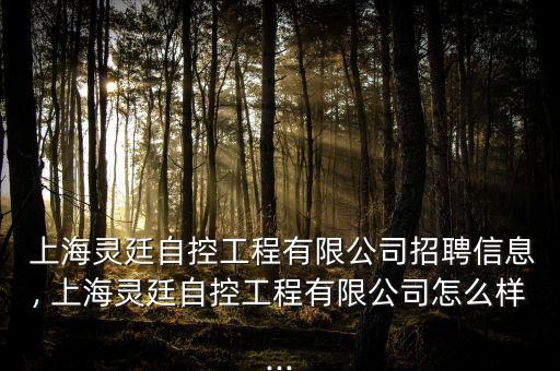  上海靈廷自控工程有限公司招聘信息, 上海靈廷自控工程有限公司怎么樣...