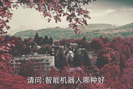請問:智能機(jī)器人哪種好