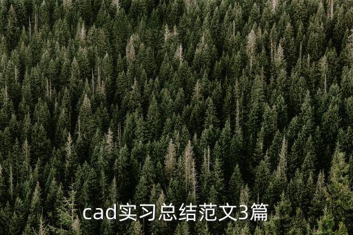 cad實(shí)習(xí)總結(jié)范文3篇