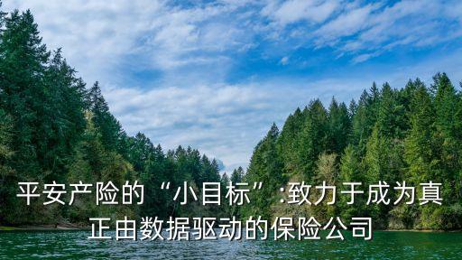 平安產(chǎn)險(xiǎn)的“小目標(biāo)”:致力于成為真正由數(shù)據(jù)驅(qū)動(dòng)的保險(xiǎn)公司