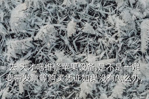去 天才吧維修蘋果設(shè)備,是不是一定要帶發(fā)票等購(gòu)買憑證如果沒(méi)有怎么辦...