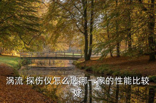 渦流 探傷儀怎么選哪一家的性能比較好