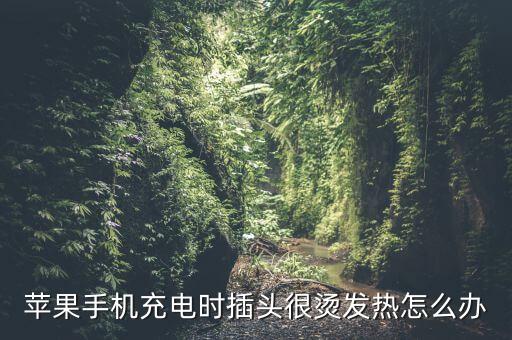iphone數(shù)據(jù)線發(fā)燙