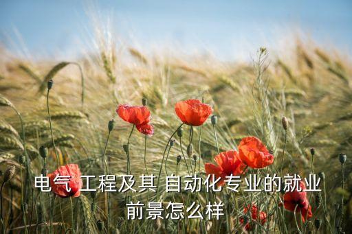  電氣 工程及其 自動(dòng)化專業(yè)的就業(yè)前景怎么樣