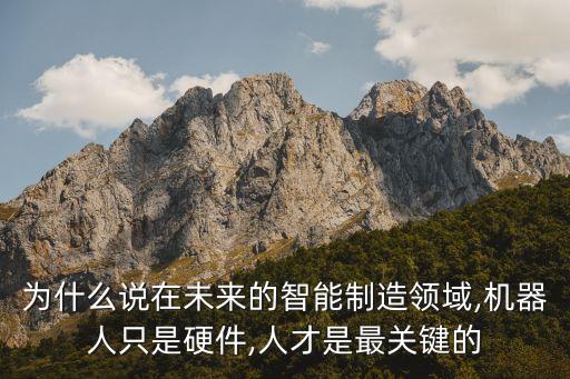 麥肯錫機(jī)器人,機(jī)器人不重要?看看這里!