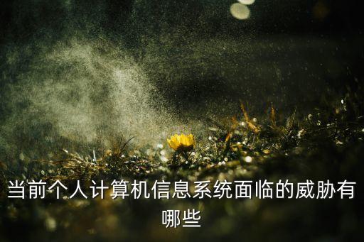 當(dāng)前個人計算機信息系統(tǒng)面臨的威脅有哪些
