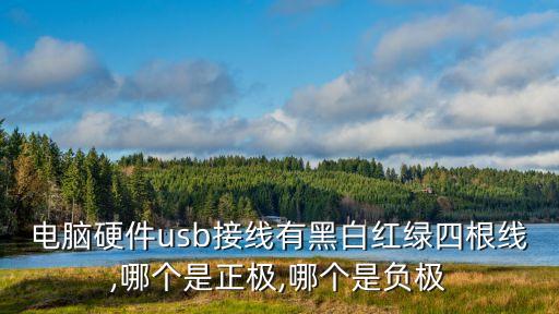 電腦硬件usb接線有黑白紅綠四根線,哪個(gè)是正極,哪個(gè)是負(fù)極