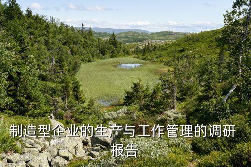 制造型企業(yè)的生產(chǎn)與工作管理的調(diào)研 報(bào)告