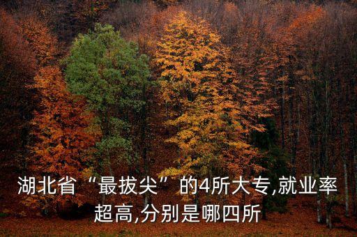 湖北省“最拔尖”的4所大專,就業(yè)率超高,分別是哪四所