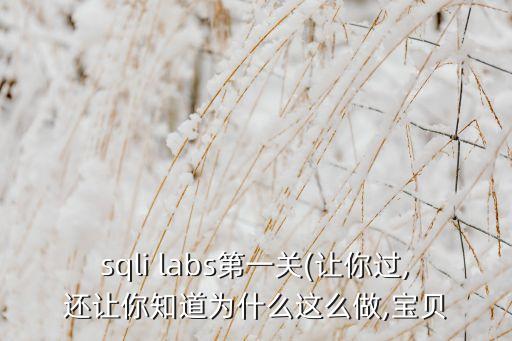 sqli labs第一關(guān)(讓你過(guò),還讓你知道為什么這么做,寶貝