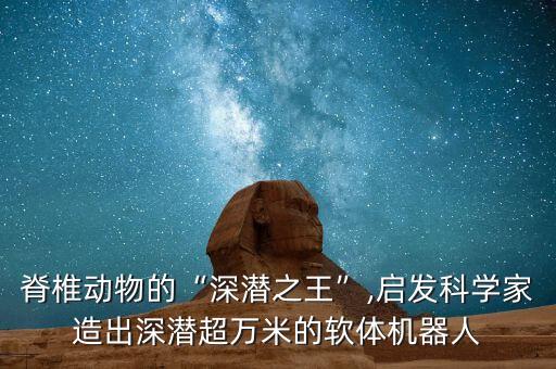脊椎動物的“深潛之王”,啟發(fā)科學(xué)家造出深潛超萬米的軟體機(jī)器人