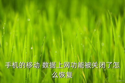 魅族note3移動(dòng)數(shù)據(jù)關(guān)了,小米note3移動(dòng)數(shù)據(jù)連不上網(wǎng)絡(luò)