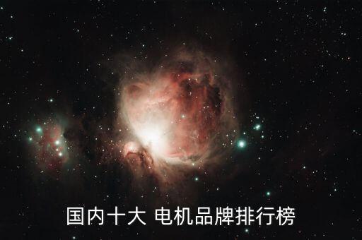 國內(nèi)十大 電機品牌排行榜