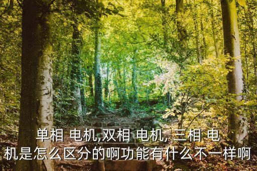 單相 電機,雙相 電機, 三相 電機是怎么區(qū)分的啊功能有什么不一樣啊
