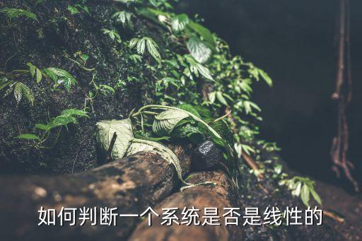 非線性系統(tǒng),什么是非線性系統(tǒng)?