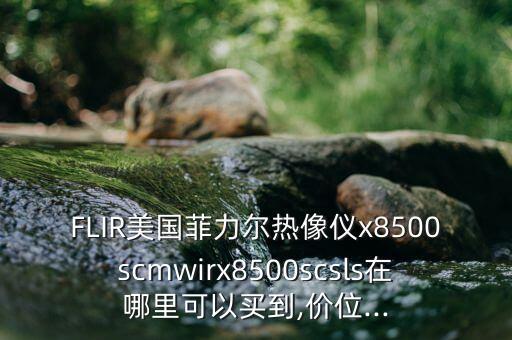 FLIR美國菲力爾熱像儀x8500scmwirx8500scsls在哪里可以買到,價位...