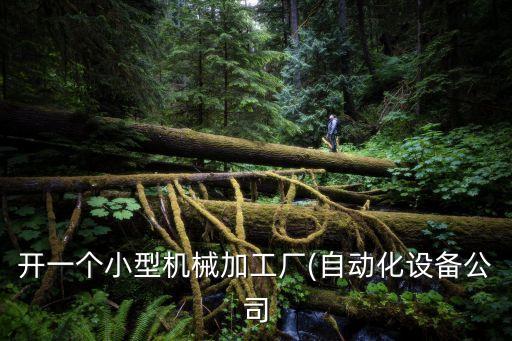 開一個(gè)小型機(jī)械加工廠(自動(dòng)化設(shè)備公司