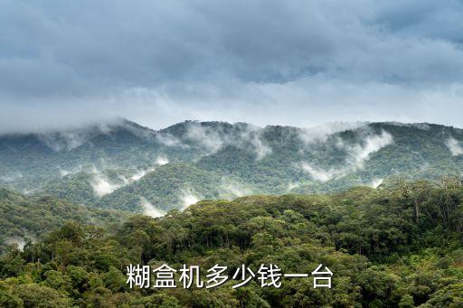 糊盒機(jī)多少錢一臺