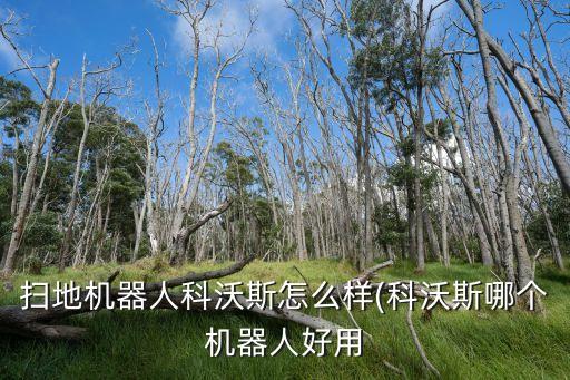 掃地機(jī)器人科沃斯怎么樣(科沃斯哪個機(jī)器人好用