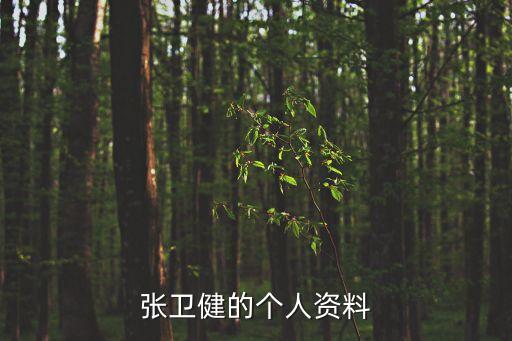 張衛(wèi)健的個人資料