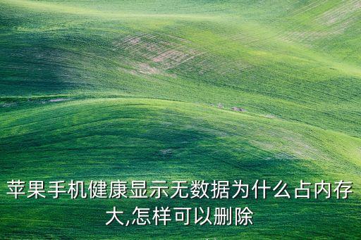 蘋(píng)果手機(jī)健康顯示無(wú)數(shù)據(jù)為什么占內(nèi)存大,怎樣可以刪除