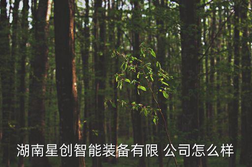 湖南星創(chuàng)智能裝備有限 公司怎么樣