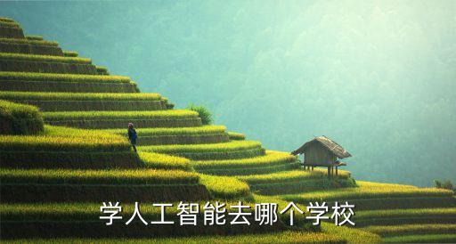 學(xué)人工智能去哪個學(xué)校