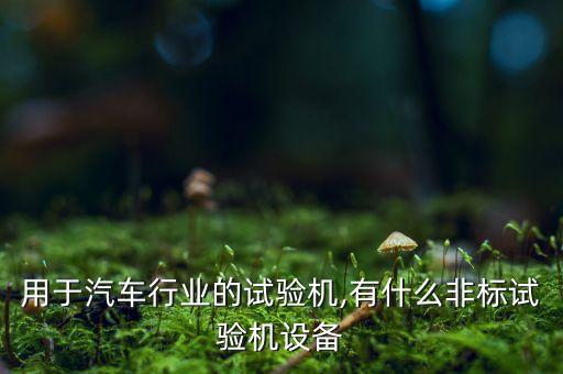 用于汽車行業(yè)的試驗機,有什么非標試驗機設備