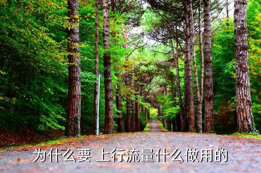 上行流量,網(wǎng)絡(luò)流量有哪些東西?