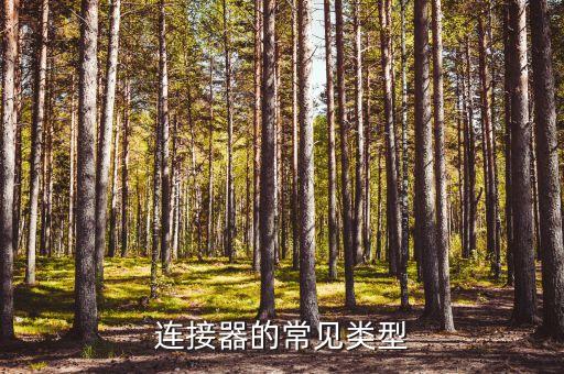 排母自動化設(shè)備,全自動化養(yǎng)豬設(shè)備有哪些呢?